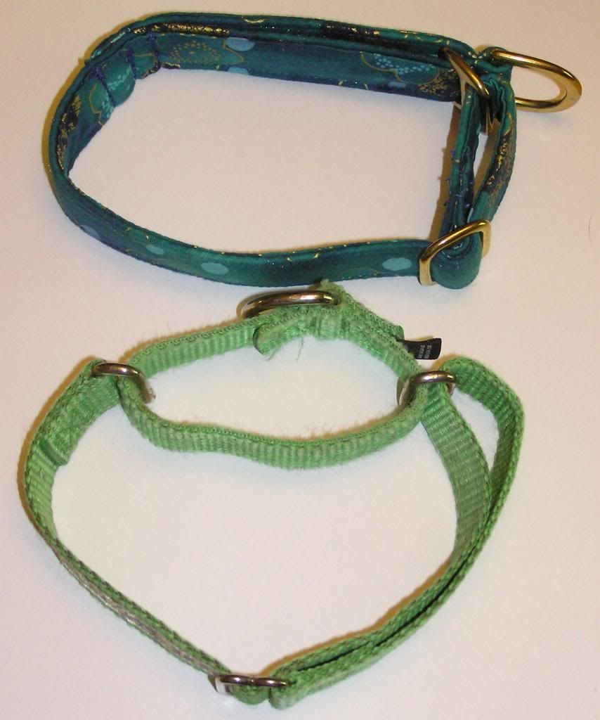 Proper Fit For A Limited Slip Collar? Everything else Greyhound