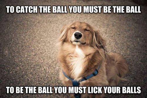 Words-Of-Wisdom-To-Catch-The-Ball-You-Must-Be-The-Ball-To-Be-The-Ball-You-Must-Lick-Your-Balls_zps60wrb3ie.jpg