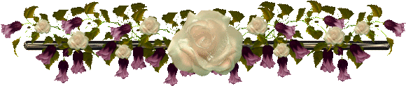 white rose border Pictures, Images and Photos