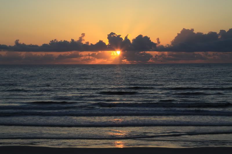 IMAGE: http://i86.photobucket.com/albums/k99/mdoc9523/IMG_3628.jpg