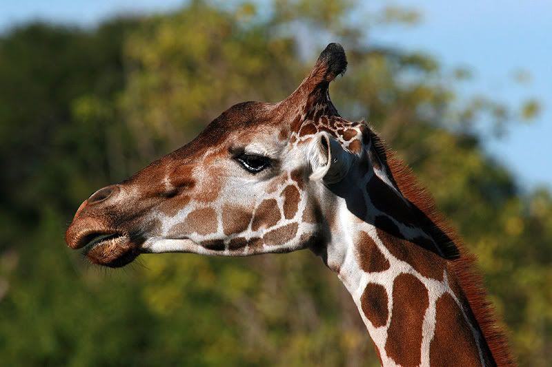 IMAGE: http://i86.photobucket.com/albums/k99/mdoc9523/IMG_3966a.jpg