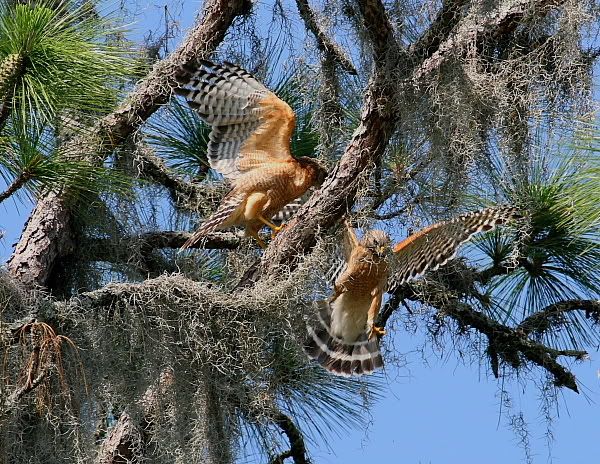 IMAGE: http://i86.photobucket.com/albums/k99/mdoc9523/IMG_5209.jpg