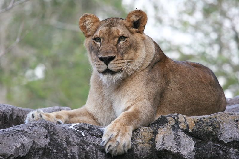 IMAGE: http://i86.photobucket.com/albums/k99/mdoc9523/IMG_6074.jpg