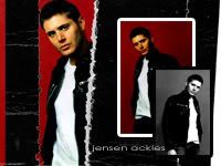 jensen