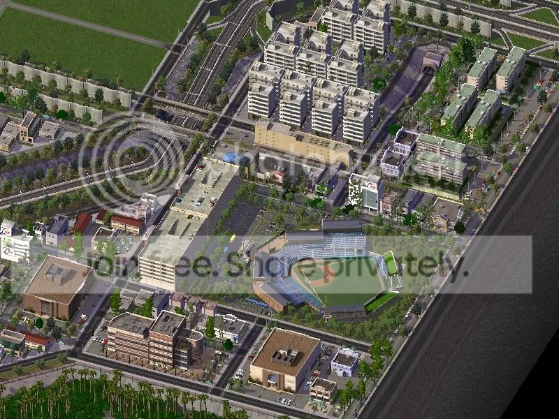 a11.jpg
