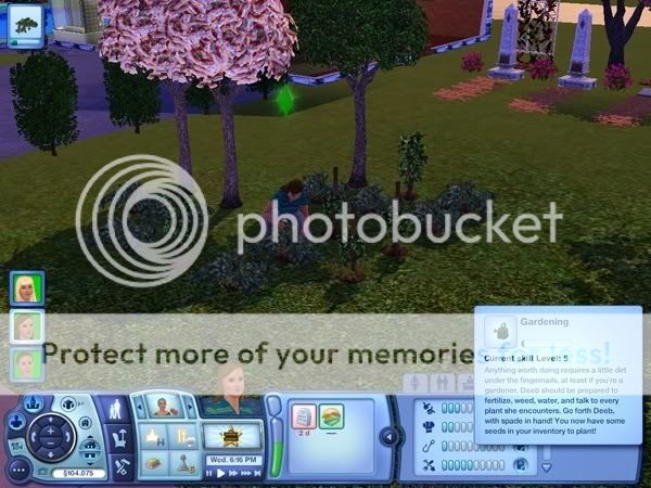 The Canid Legacy Generation 6 Come Into My Parlor&hellip; stormfeather