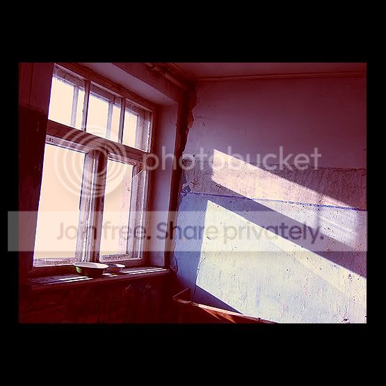 Photo Sharing and Video Hosting at Photobucket