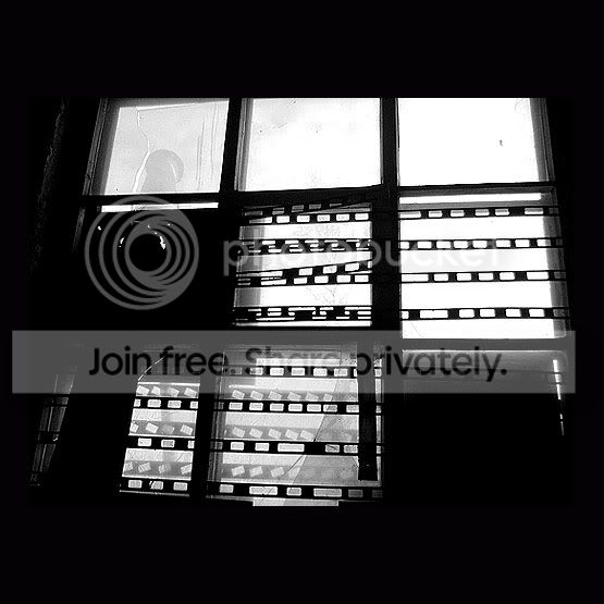 Photo Sharing and Video Hosting at Photobucket