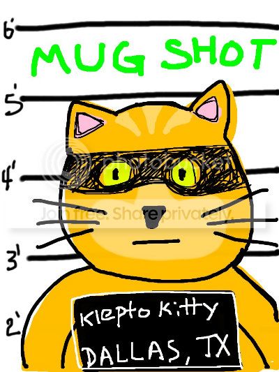 cat6