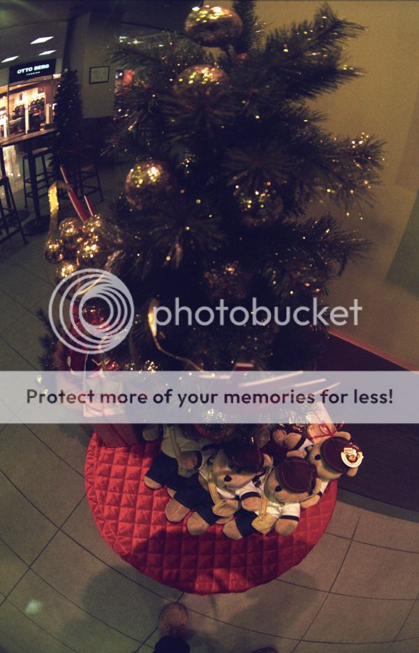 Zenit 11 / 2012-2013 photo 3_zpsujezntqb.jpg