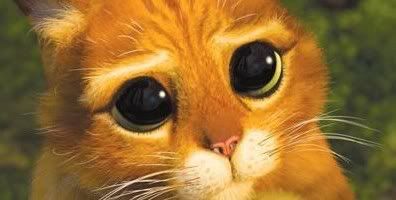 gatito2.jpg