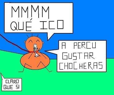 percu3.jpg