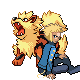arcanine_zpsr9uq6lsj.gif
