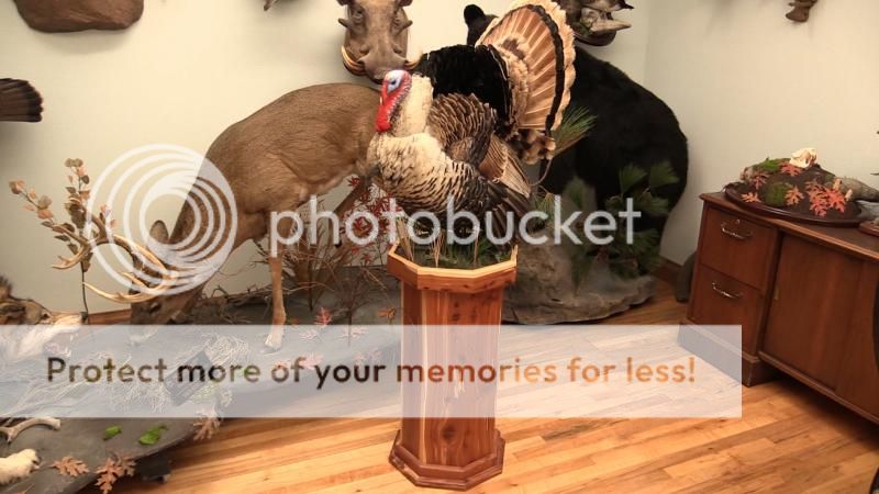 NWTF Museum Turkey